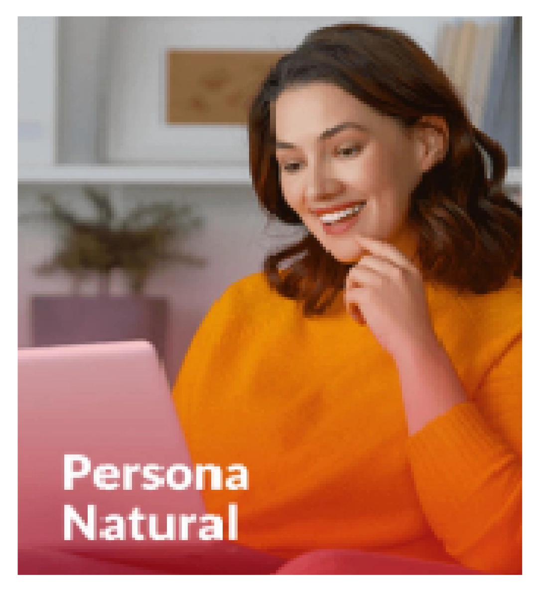 Persona Natural