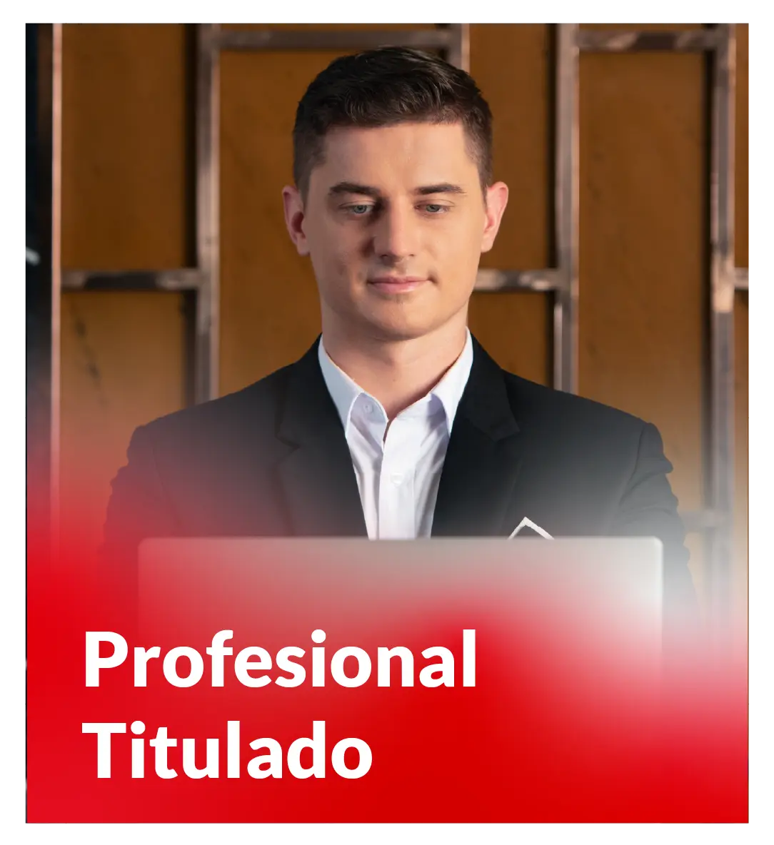 Profesional Titulado