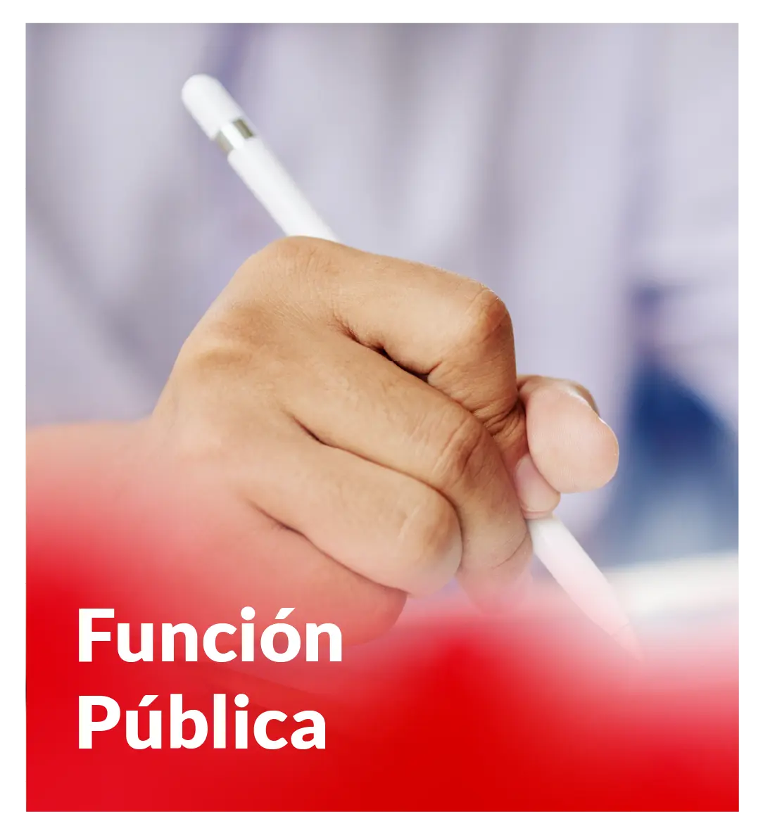 Función Pública