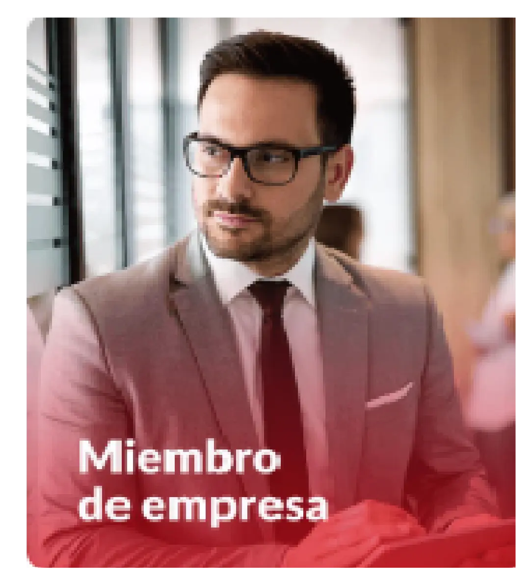 Miembro de empresa