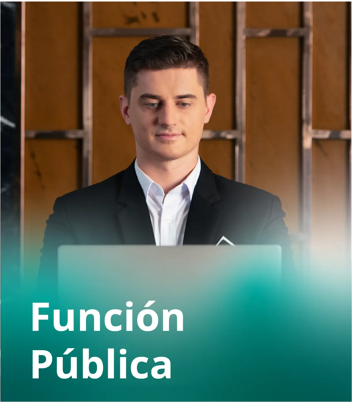 Función Pública